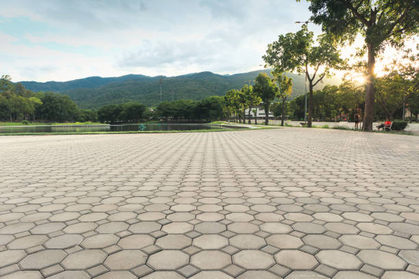 Best Interlocking Driveway Pavers  in Mexia, TX